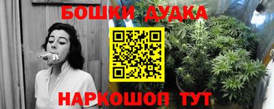 таблы Новозыбков