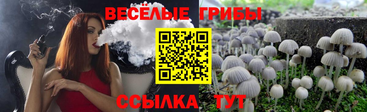 Псилоцибиновые грибы мухоморы Сосновый Бор
